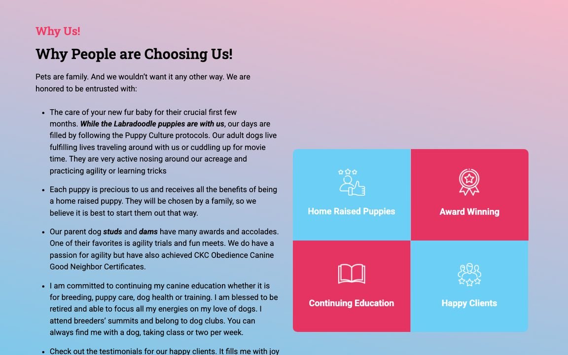 A section of the current It's A Doodle homepage: a long wall of small bullet-point text on a pink-to-blue gradient beside four bright coloured tiles