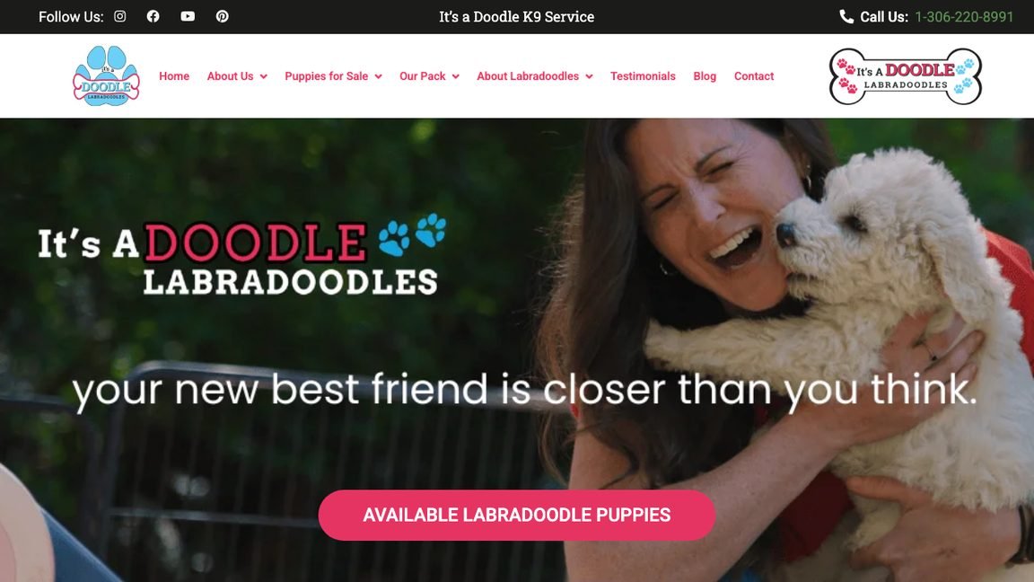 The current It's A Doodle homepage: the top bar reads It's a Doodle K9 Service, while the logos in the header and on the video read It's A Doodle Labradoodles