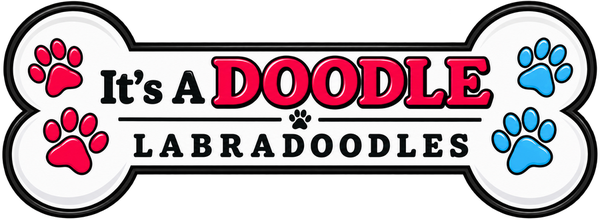 Current It's A Doodle Labradoodles bone logo