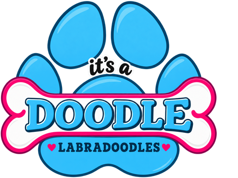 Current It's A Doodle Labradoodles paw badge logo