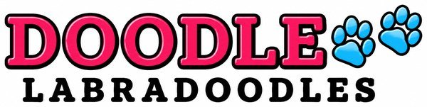 Current Doodle Labradoodles wordmark logo